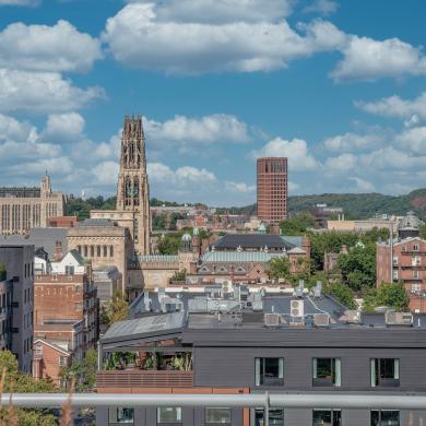 View of Science Hill from 100 College Street